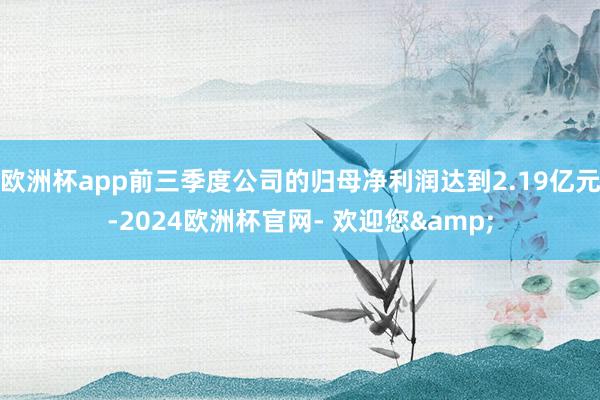 欧洲杯app前三季度公司的归母净利润达到2.19亿元-2024欧洲杯官网- 欢迎您&