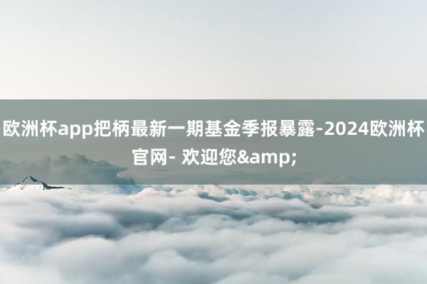 欧洲杯app把柄最新一期基金季报暴露-2024欧洲杯官网- 欢迎您&