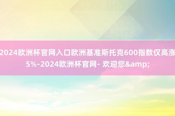 2024欧洲杯官网入口欧洲基准斯托克600指数仅高涨5%-2024欧洲杯官网- 欢迎您&