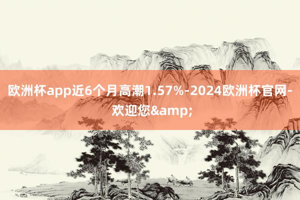 欧洲杯app近6个月高潮1.57%-2024欧洲杯官网- 欢迎您&