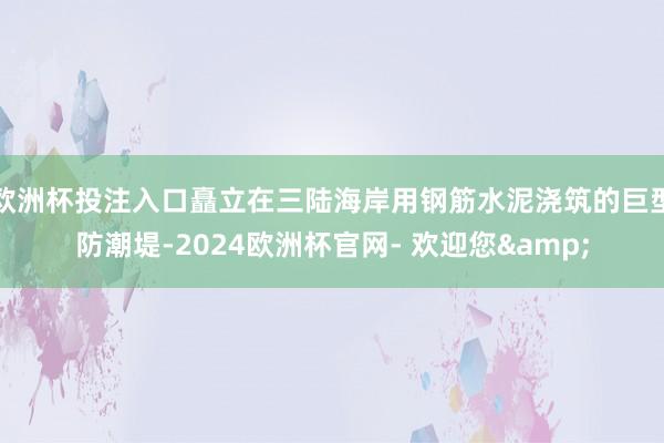 欧洲杯投注入口矗立在三陆海岸用钢筋水泥浇筑的巨型防潮堤-2024欧洲杯官网- 欢迎您&