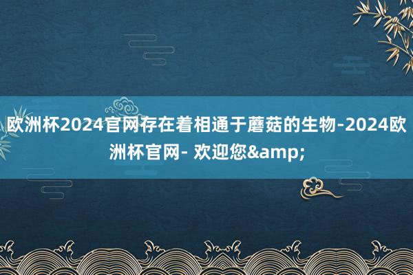 欧洲杯2024官网存在着相通于蘑菇的生物-2024欧洲杯官网- 欢迎您&